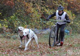 OsterCamp 2023