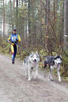 lauf 11
