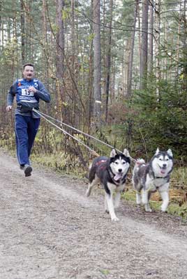 lauf 13