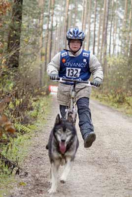lauf 132