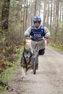 lauf 132a