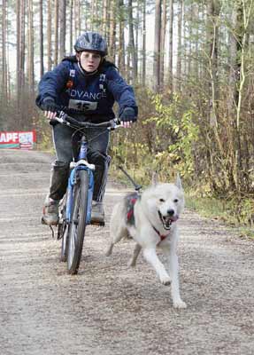 lauf 15