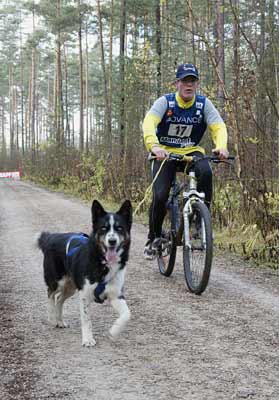 lauf 17