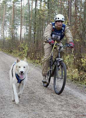 lauf 19