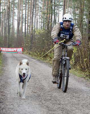 lauf 19a