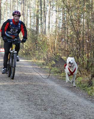 lauf 26