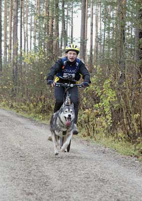lauf 29