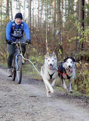 lauf 33