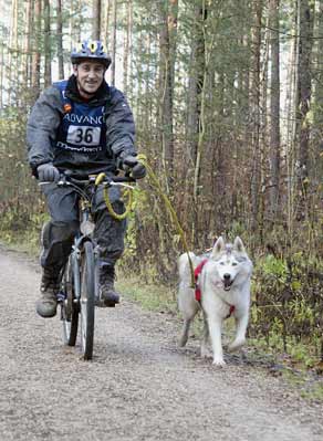 lauf 36