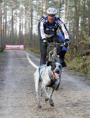 lauf 37