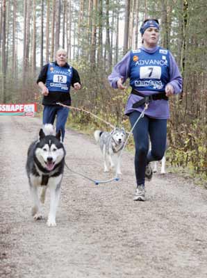 lauf 4