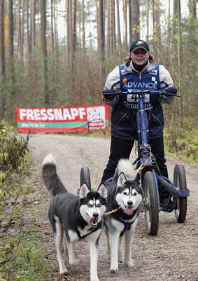 lauf 48