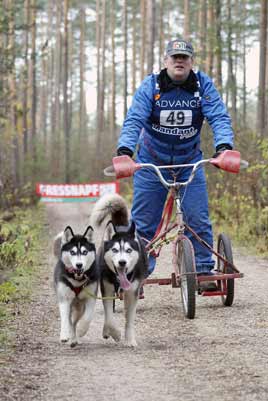 lauf 49