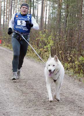 lauf 5