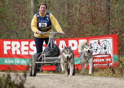 lauf 71