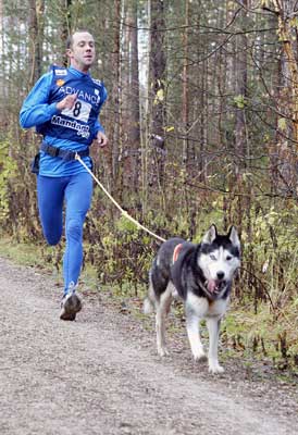lauf 8