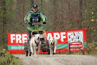 lauf 85