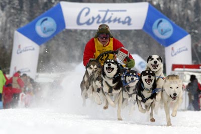cortina 04