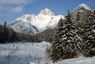 cortina 15