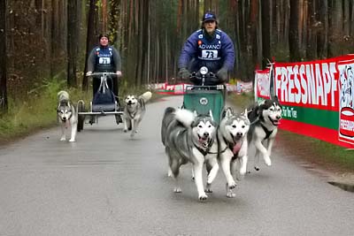 Lauf 2004