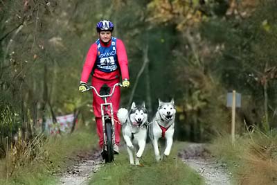 Lauf 2004 2  110