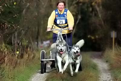Lauf 2004 2  145