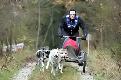 Lauf 2004 2  184