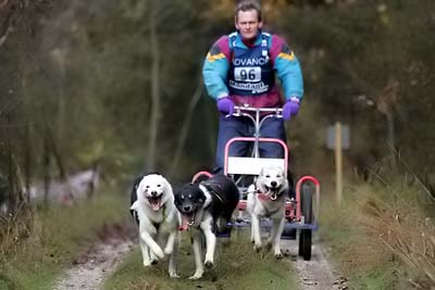 Lauf 2004 2  203
