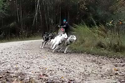 Lauf 2004 2  231