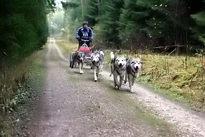 Lauf 2004 2  251