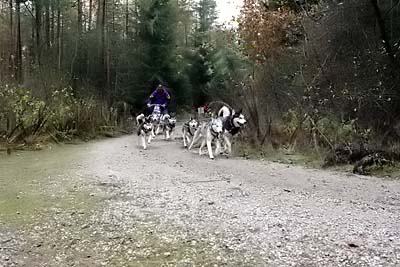Lauf 2004 2  255