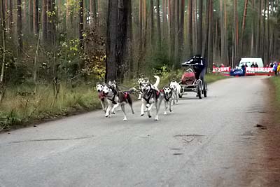 Lauf 2004 2  295