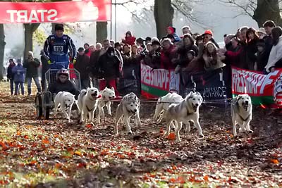 Lauf 2004 2  331