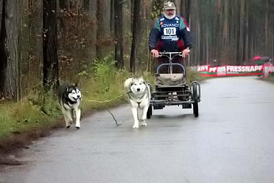 Lauf 2004  270