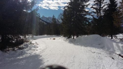 IMG-20190209-WA0008