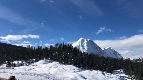 IMG-20190209-WA0011