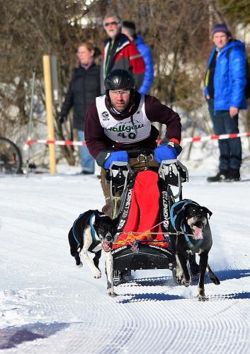 k-DSC_1774-1