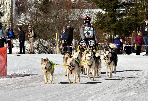 k-DSC_1968-1