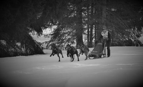 k-_SC_3686-1