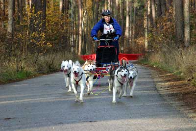 Lauf 2003