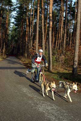 klaus kennerknecht