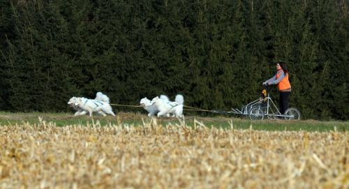 lauf 9
