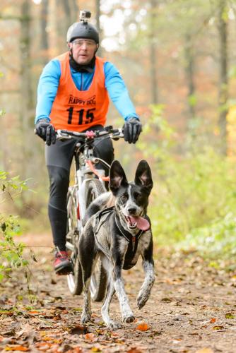 Lauf 2014