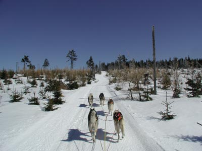 polen 07