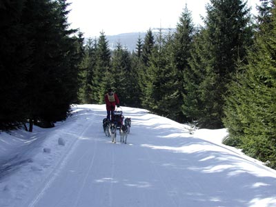 polen 08