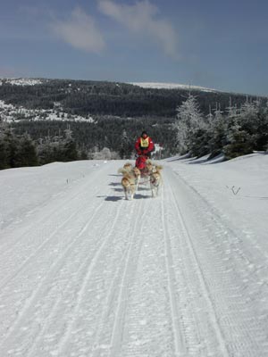 polen 23