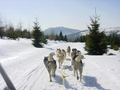 polen 25