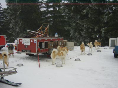 polen 31