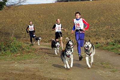 cross herren