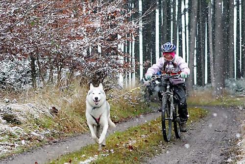 Bild02